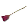 Felted Wool Tulip Flower