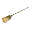 Felted Wool Tulip Flower