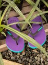 Waves Womens 100% Natural Rubber Flip Flop  Turquoise  /  Purple